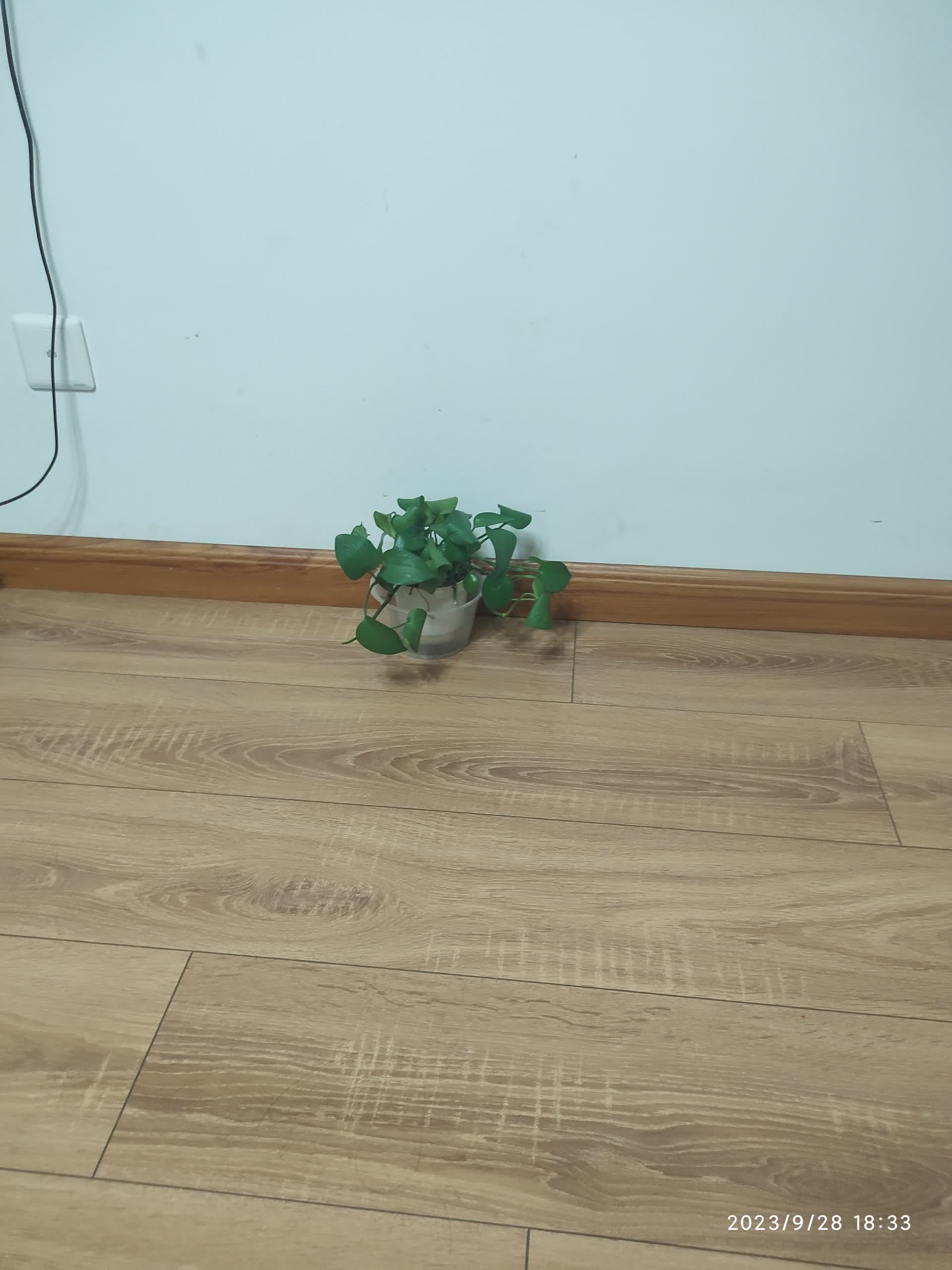 1695897213510.jpg 1695897213510.jpg