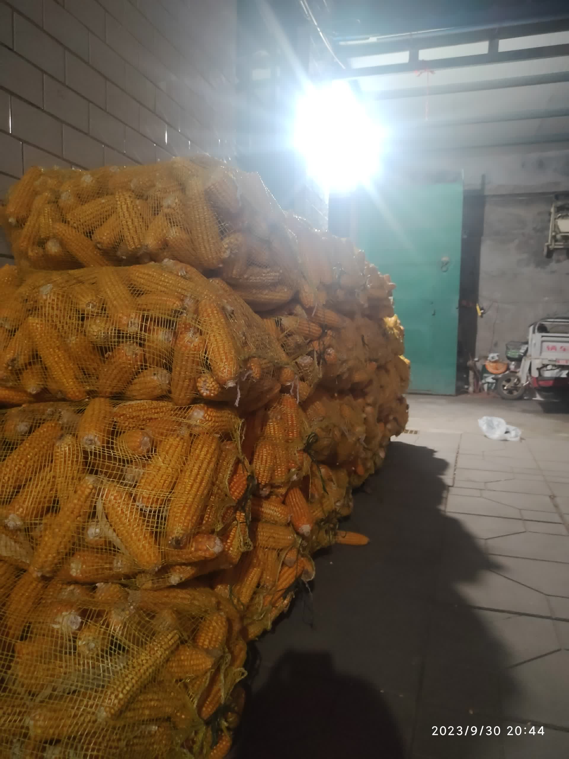 IMG_20230930_204423.jpg IMG_20230930_204423.jpg