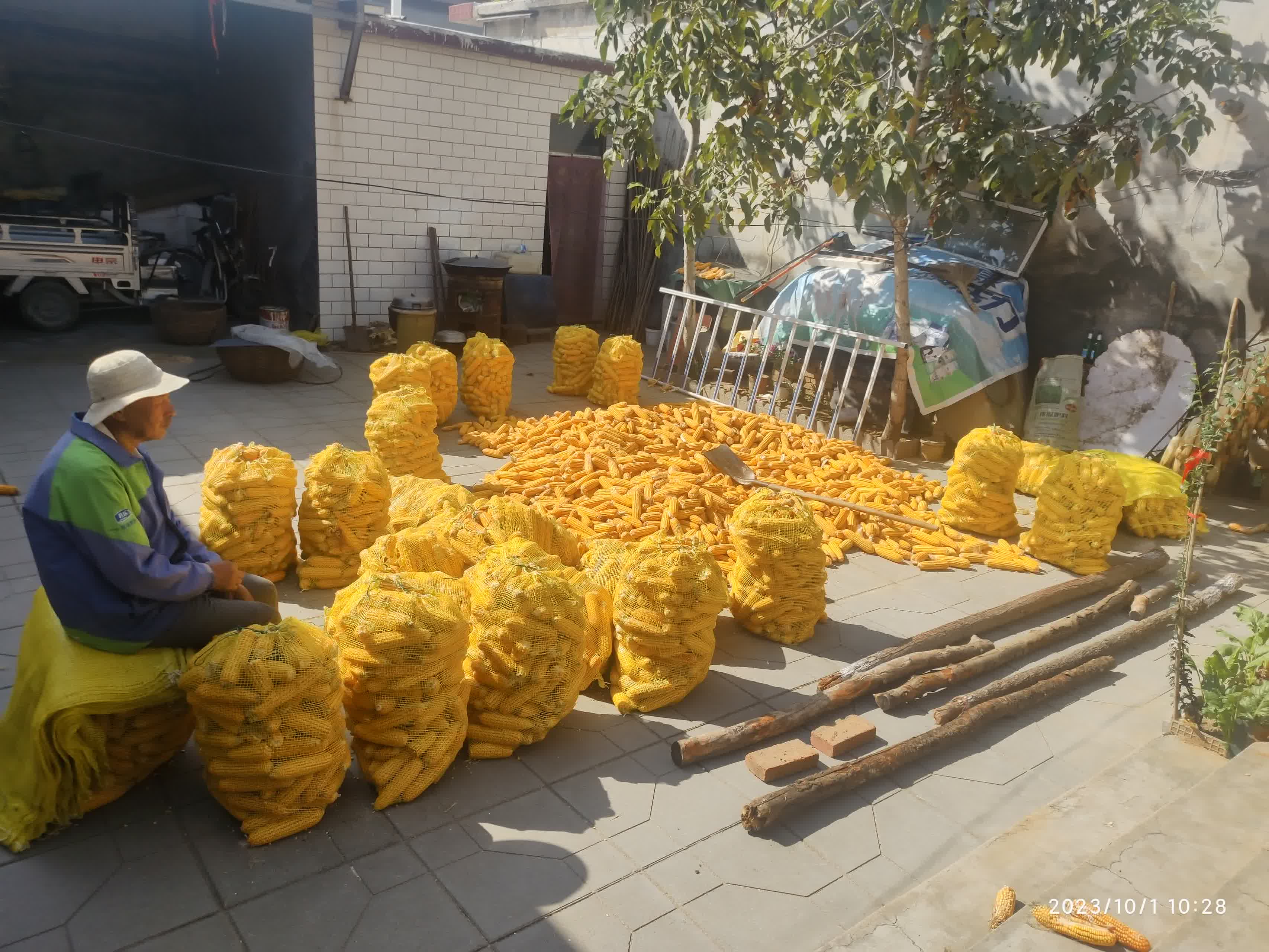 IMG_20231001_102823.jpg IMG_20231001_102823.jpg